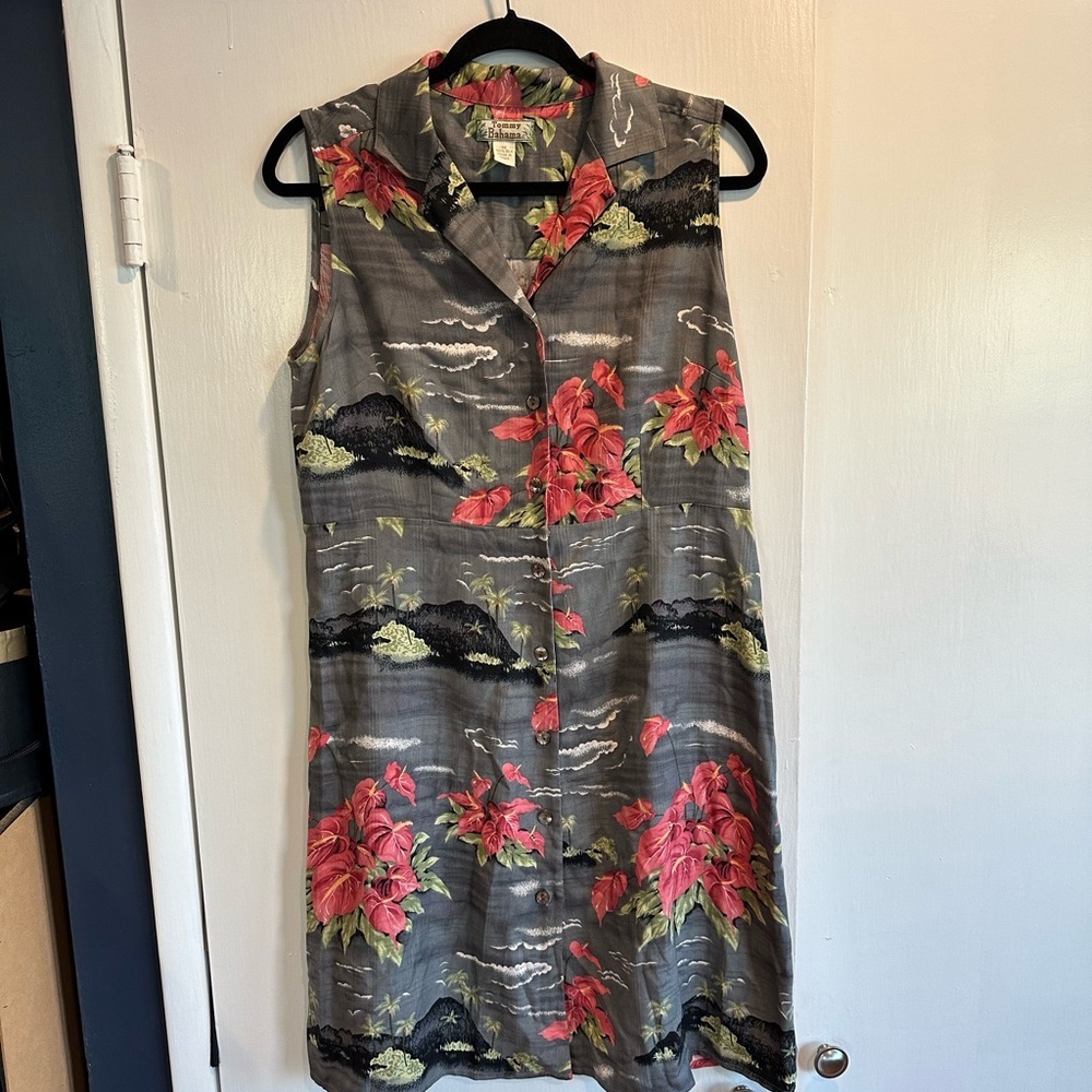 Sleeveless Floral Button-Front Dress - Gray with Red Bloom